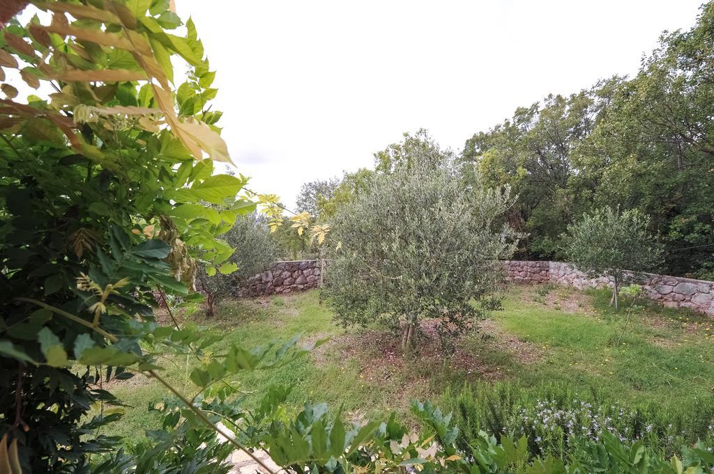 Apartments Marta Starigrad Paklenica Cameră foto